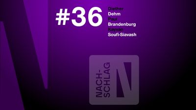 Nachschlag (36):  AfD / EU - Rechtsruck? / Das Wuhan der Demokratie